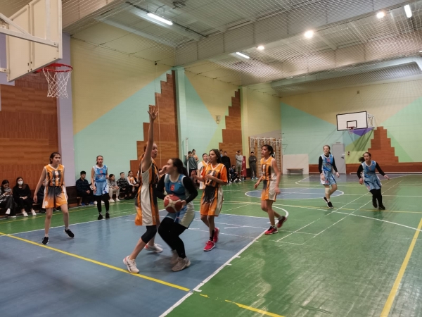 Товарищеская встреча по  баскетболу 