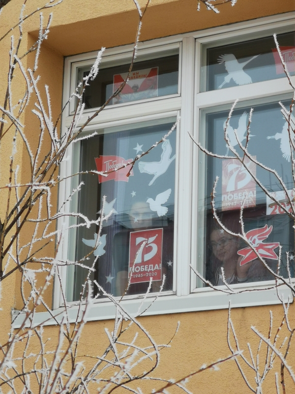 #Окна_Победы 