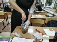 Всероссийская интеллектуально-исследовательская программ &laquo;Экодром&raquo; 